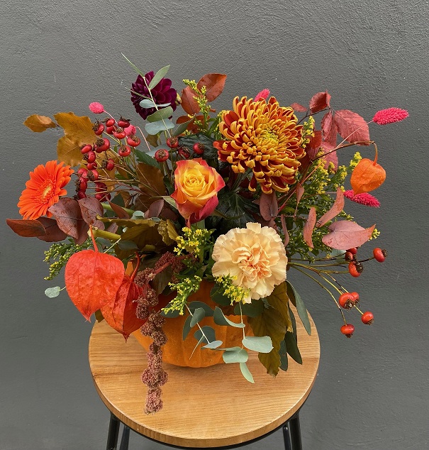 image0 (17) image0 (17)