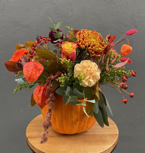 image1 (8) image1 (8)